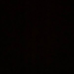 Meet your Posher, Bridgett